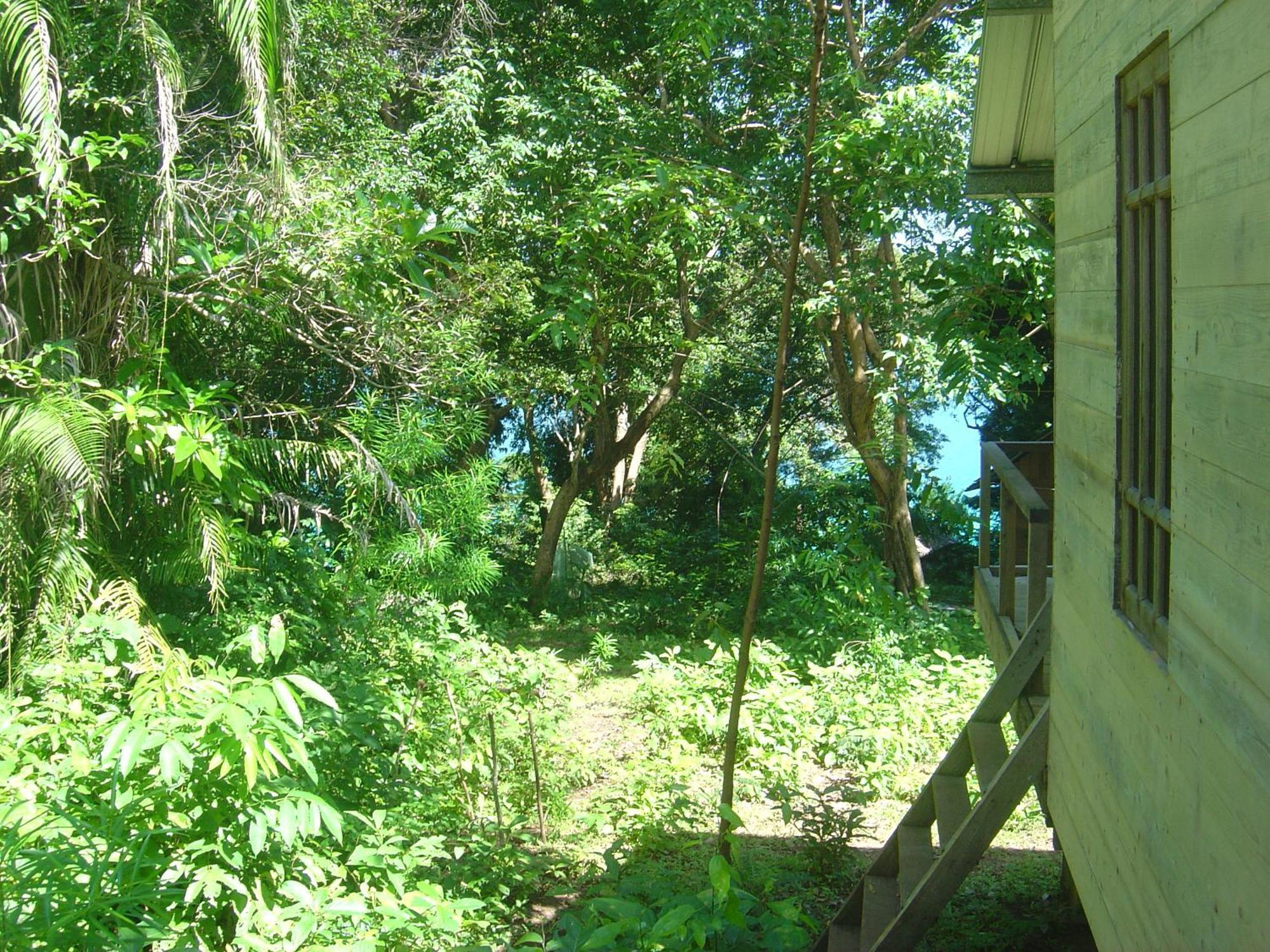 Olala Cafe & Bungalows Sabang  Dış mekan fotoğraf